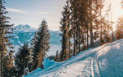 Analyse concurrentielle des stations de ski de luxe en France